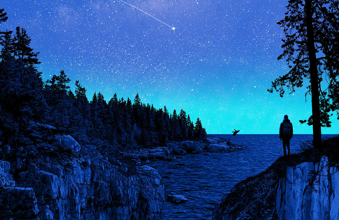 Acadia National Park Poster (Night Sky)