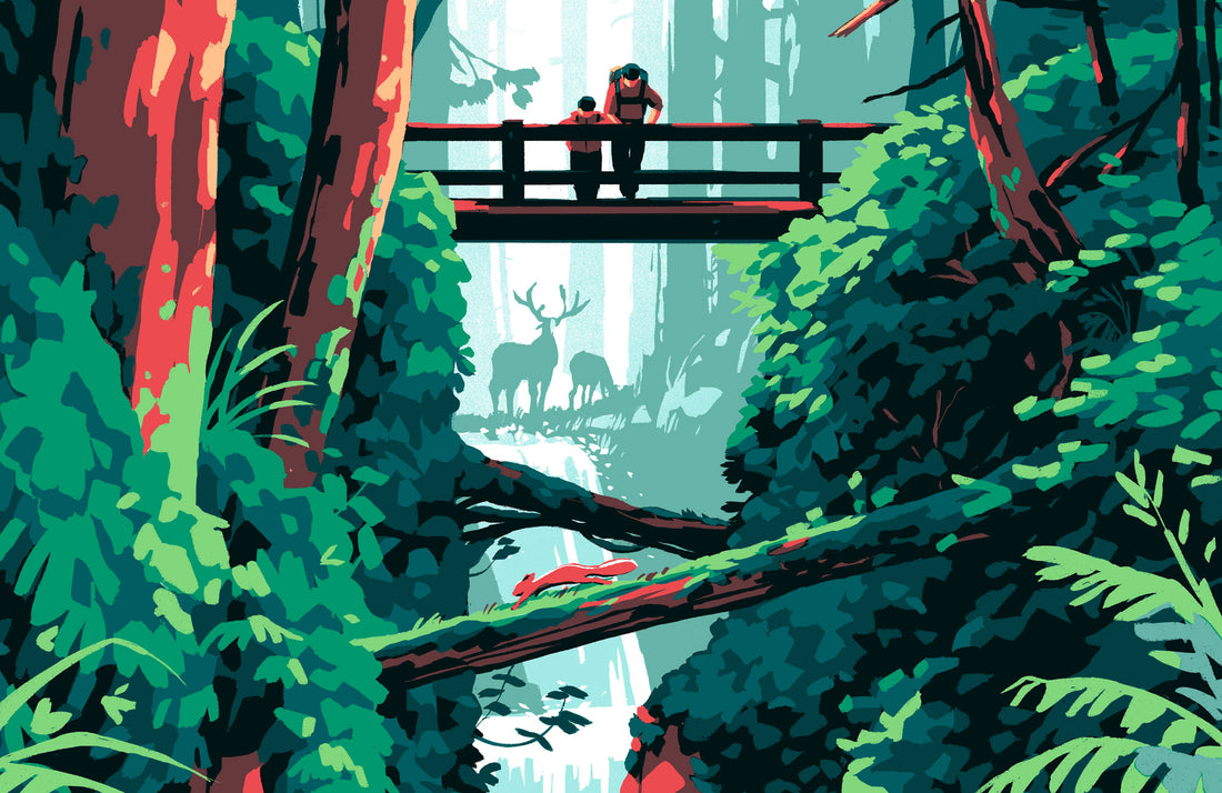 Olympic National Park Poster (Forest)