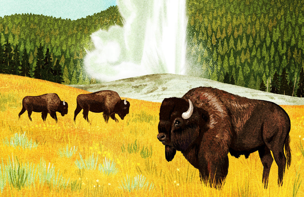 Yellowstone National Park Poster