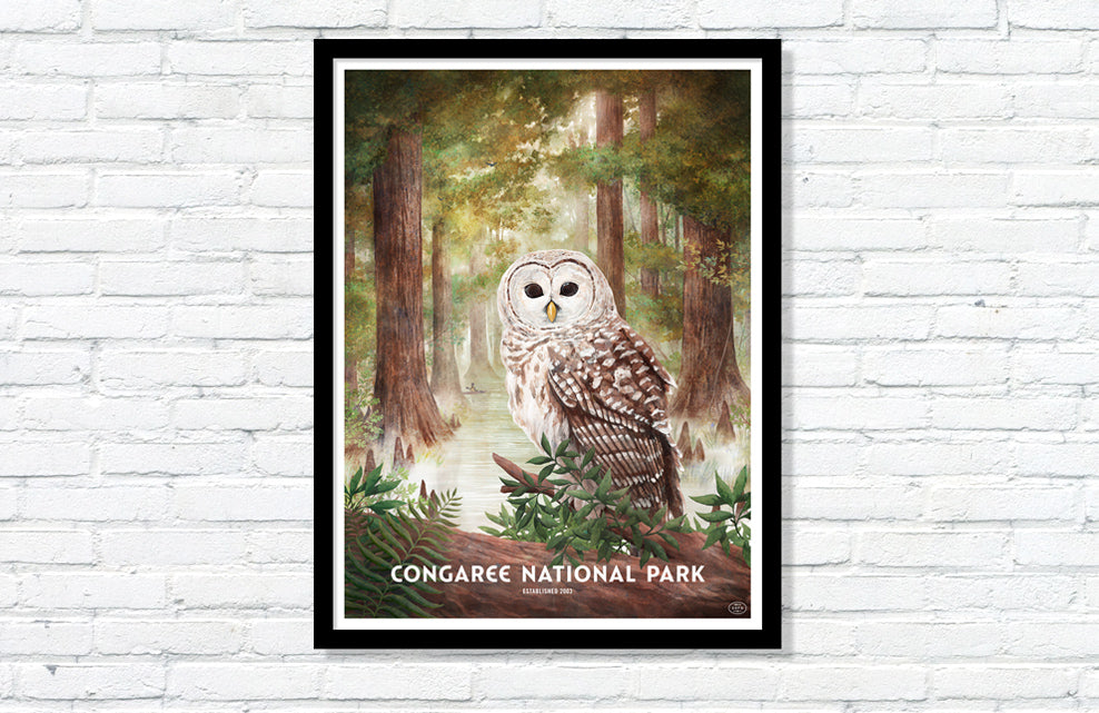 Congaree National Park Poster