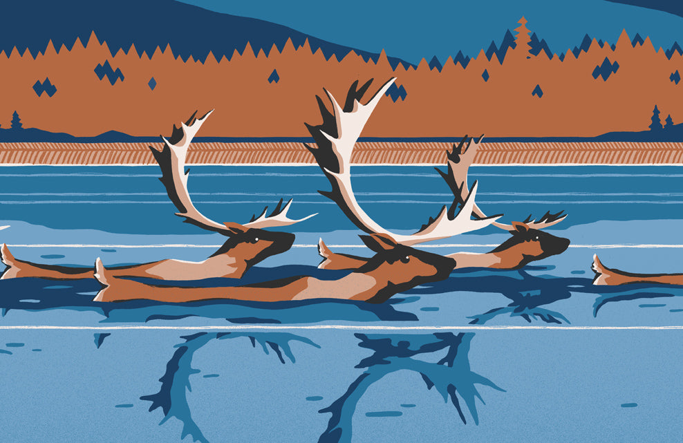 Kobuk Valley National Park Poster