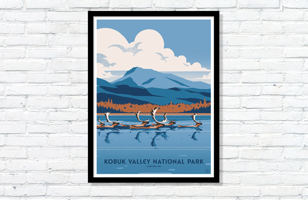 Kobuk Valley National Park Poster