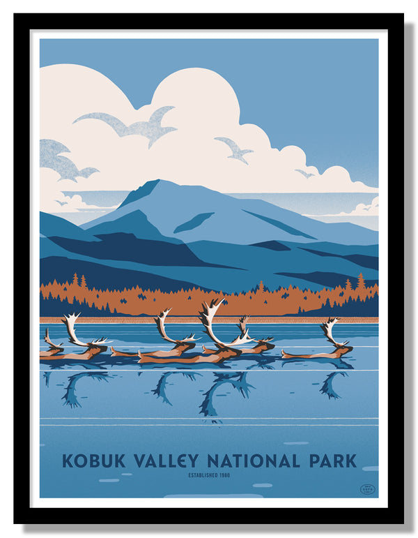 Kobuk Valley National Park Poster