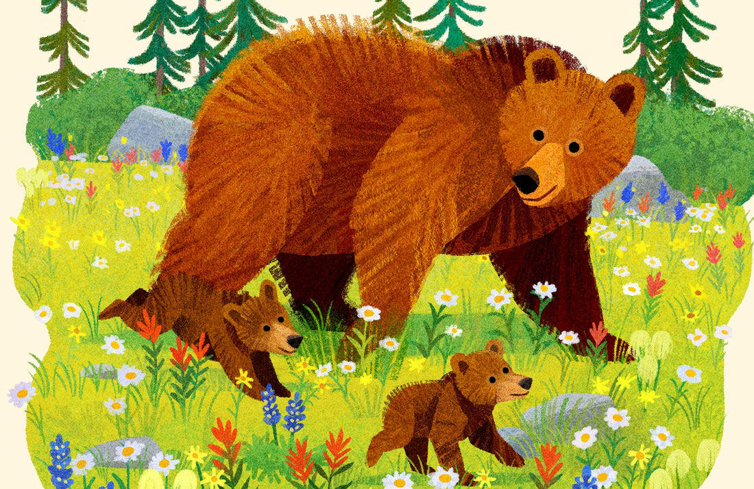 Brown Bear National Park Alphabet Print