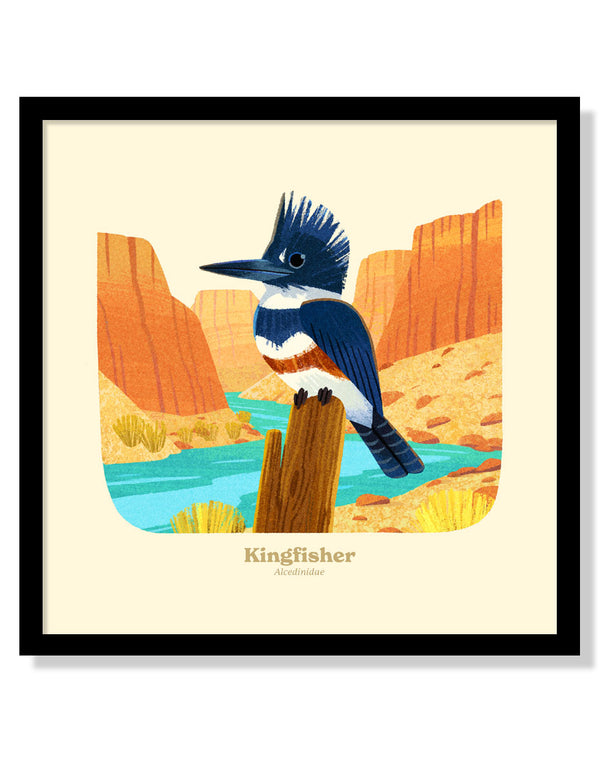 Kingfisher National Park Alphabet Print