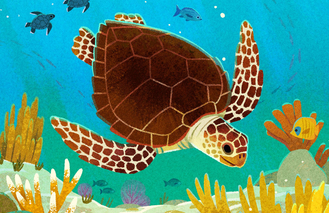 Loggerhead Sea Turtle National Park Alphabet Print