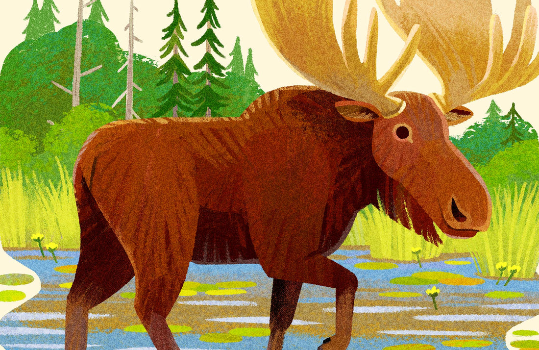 Moose National Park Alphabet Print