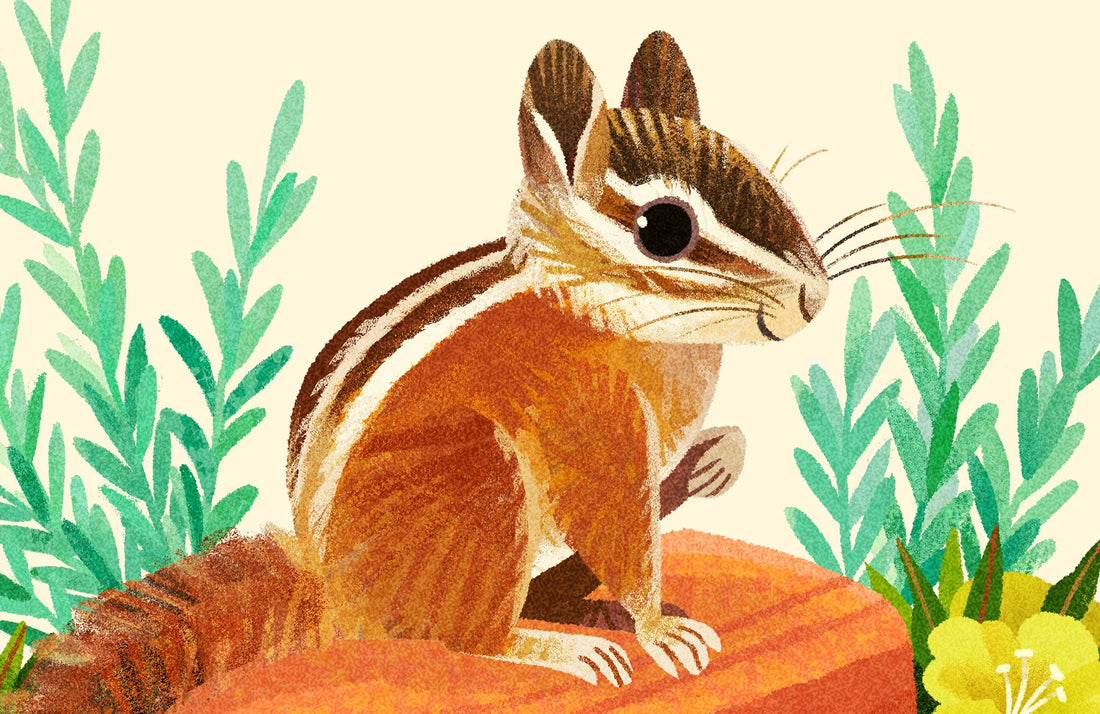 Uinta Chipmunk National Park Alphabet Print