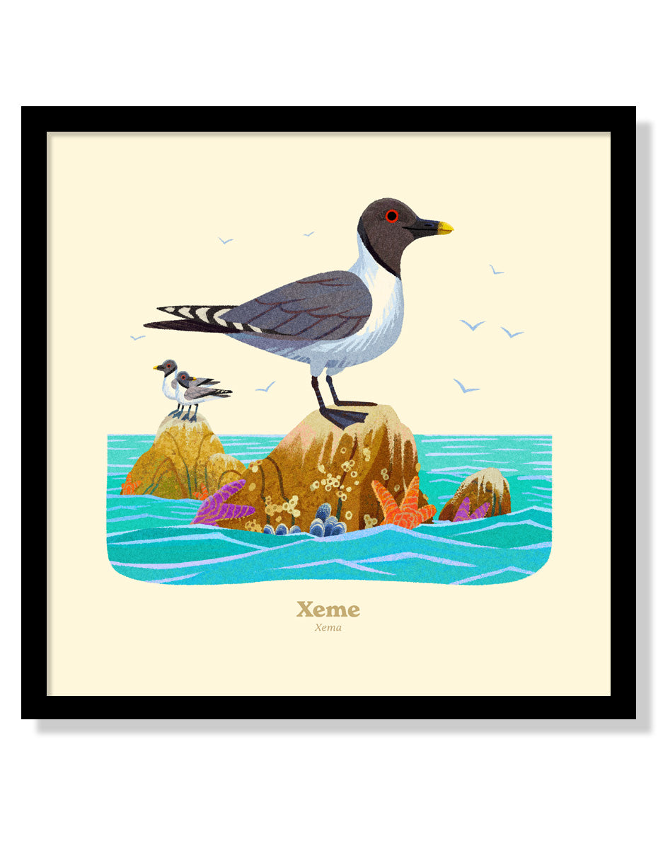 Xeme National Park Alphabet Print