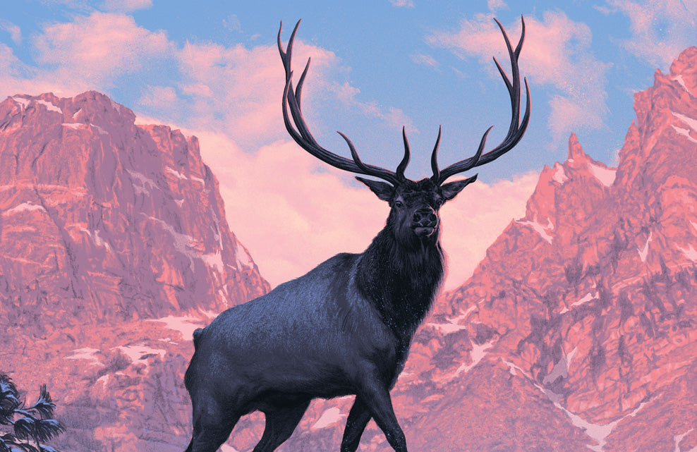 Rocky Mountain National Park Poster (Large Timed Edition)